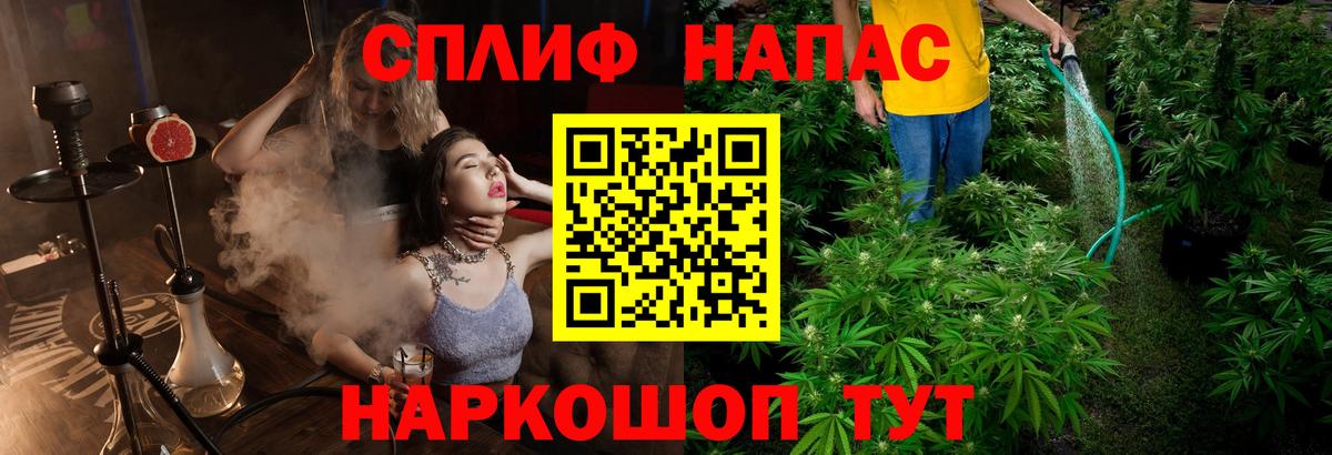 Бошки Шишки Альметьевск